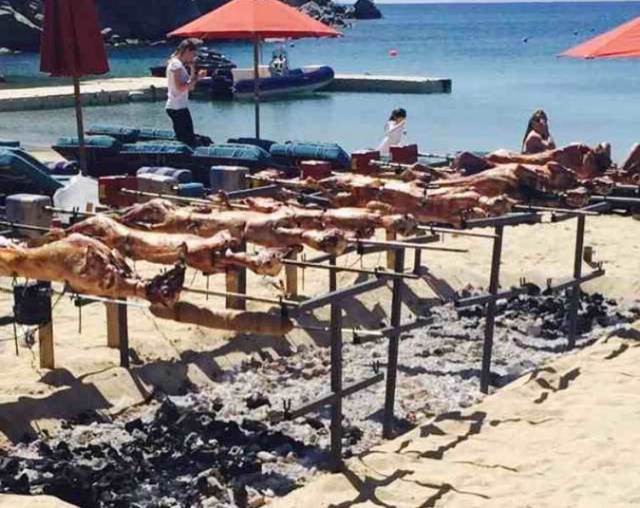 arnia paralia