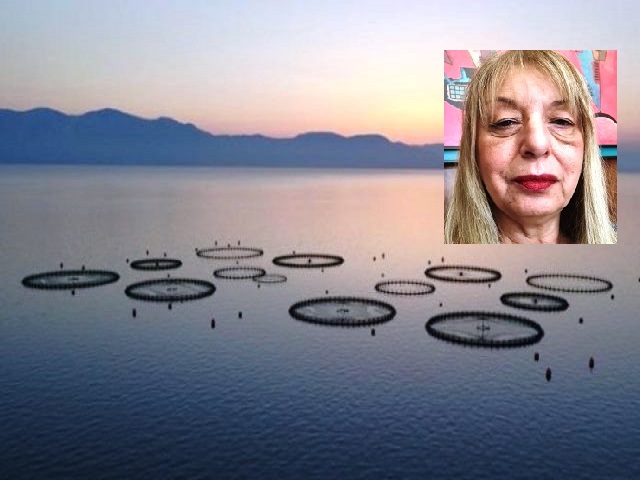 Ο επισιτιστικός κίνδυνος και οι επιπτώσεις του στις ιχθυοκαλλιέργειες (Συνέντευξη καθηγήτριας ΓΠΑ, Ελ. Μήλιου)