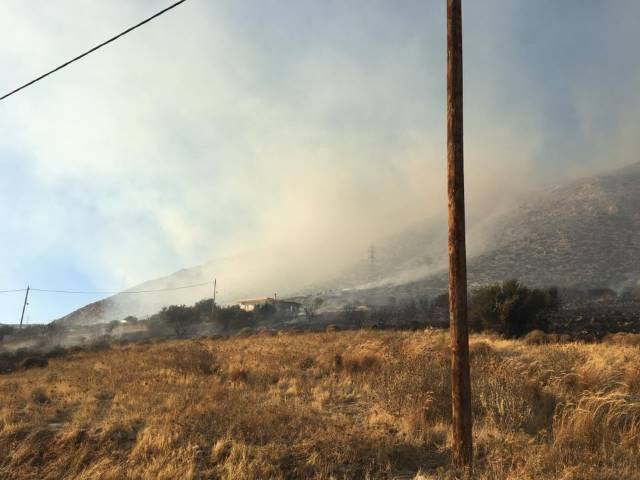 olimp1