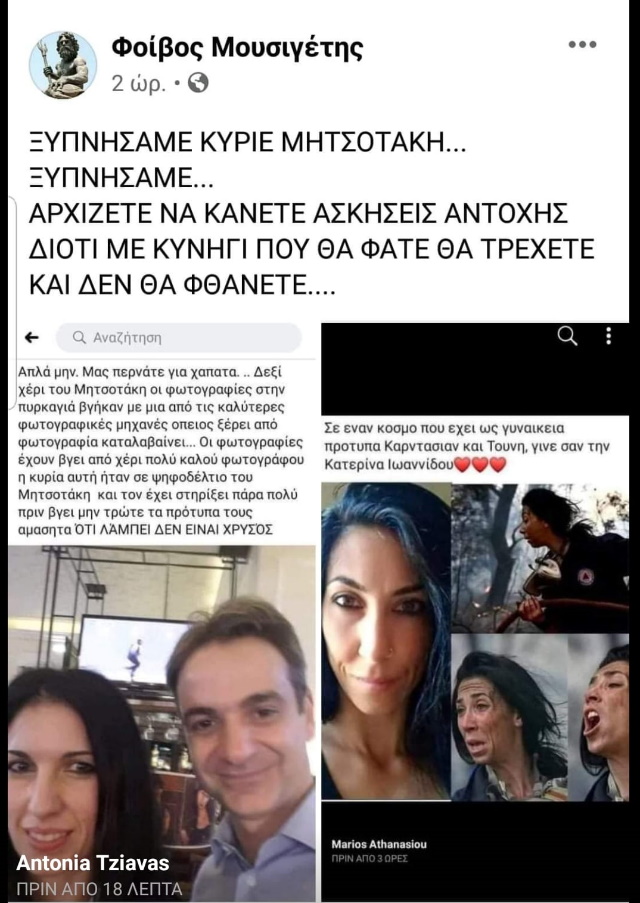 mousigetis