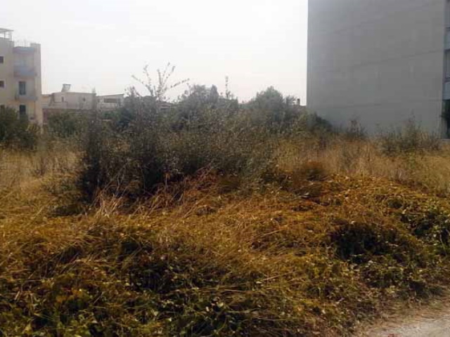 Βροχή πέφτουν τα πρόστιμα σε αδιάφορους ιδιοκτήτες ακαθάριστων οικοπέδων – Η αρχή έγινε στη Ραφήνα 