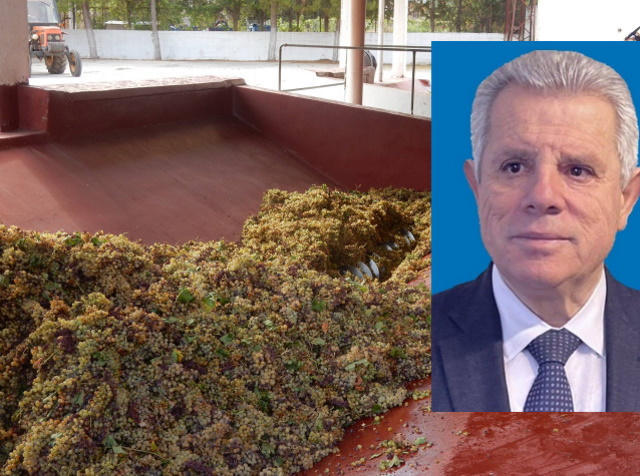 Πρόγραμμα de minimis για τους αμπελουργούς της Αττικής: Πόσα χρήματα θα λάβουν ανά στρέμμα (Συνέντευξη)