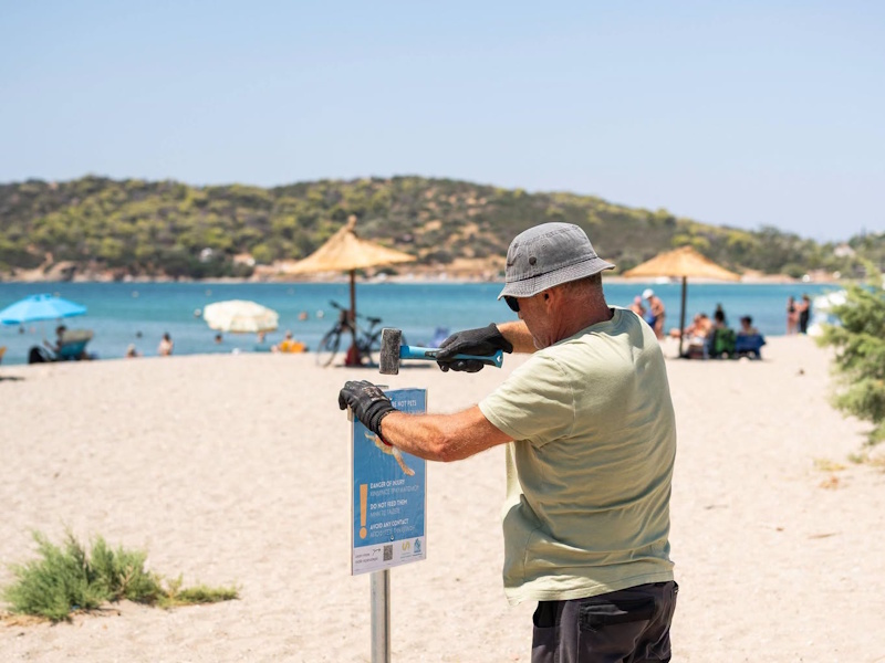 Δήμος Σαρωνικού: Προειδοποιητικές πινακίδες στις παραλίες μετά από περιστατικά με θαλάσσιες χελώνες