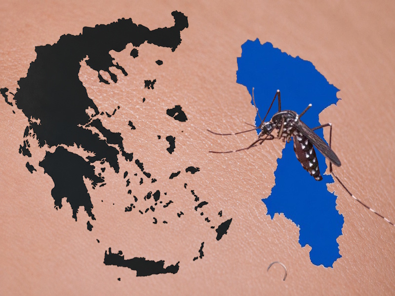 Ιός Δυτικού Νείλου: Η Αν. Αττική στο επίκεντρο – Υπερδιπλασιάστηκαν τα κρούσματα μέσα σε μία εβδομάδα