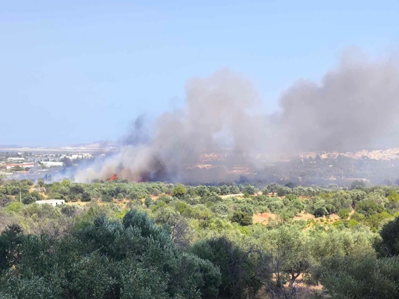 Κορωπί: Σταμάτησαν τη φωτιά στη Σφηττού πριν απειλήσει τη Μονή Βηθλεέμ (Βίντεο)