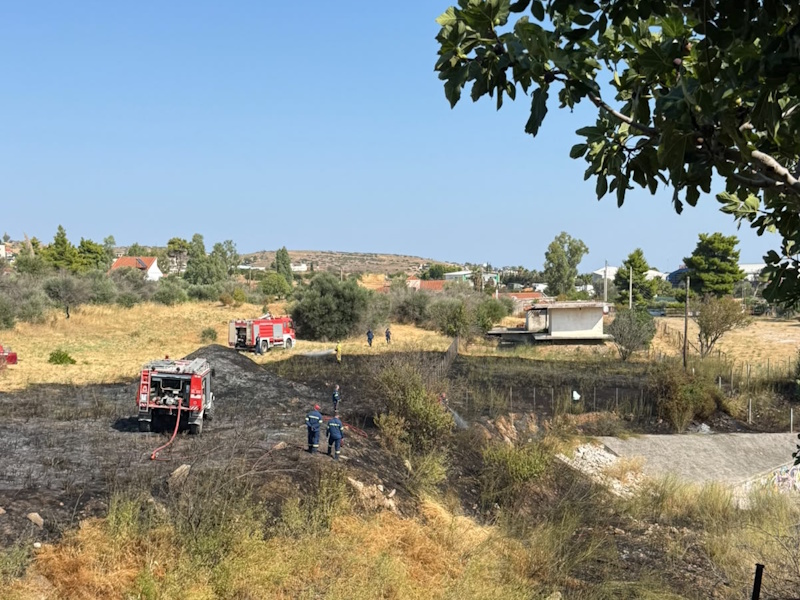 Γέρακας: Τι κράτησε τη φωτιά μακριά από τα χειρότερα