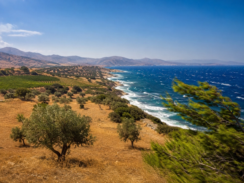 Ο καιρός στην Αν. Αττική το τριήμερο 28-30/8: Το μελτέμι ρίχνει τη θερμοκρασία 