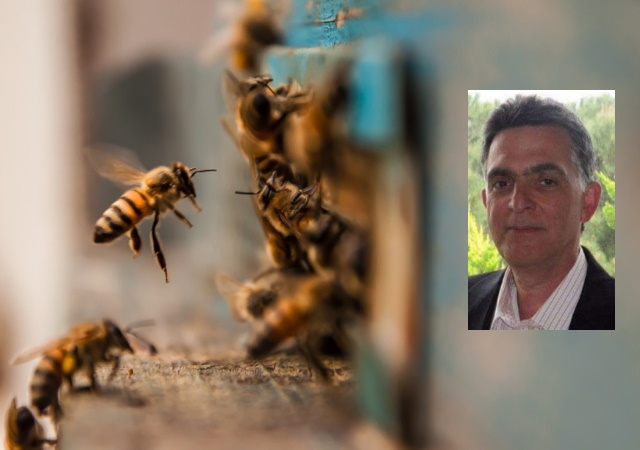 Η μελισσοκομία είναι βασικός κλάδος του πρωτογενούς τομέα (Συνέντευξη Πρ. Ακρίβου) 
