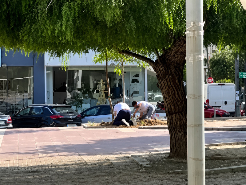 Δήμος Παλλήνης: Γκρίνια και εκνευρισμός στη διοίκηση Αηδόνη μετά τις μηνύσεις για τα δέντρα ...
