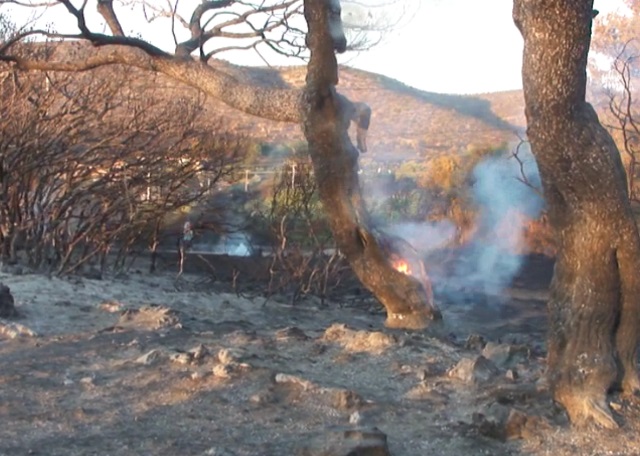 fotia portorafti2013