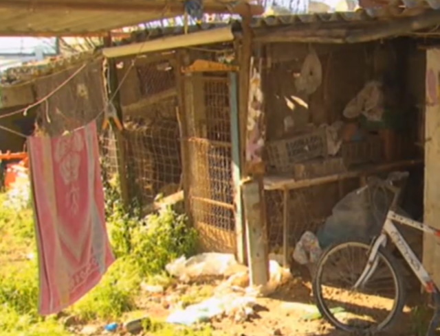 kotetsi koropi sillipsi