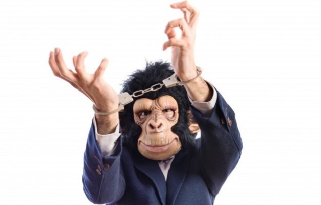 monkey man with handcuffs 1368 7180