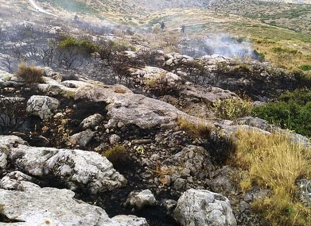 Οι κεραυνοί «έφεραν» φωτιά στην Κερατέα! (Φωτός)