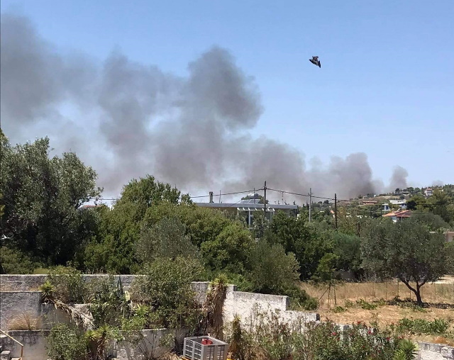 Λόφος Παλλήνης: Συναγερμός για τη φωτιά για να αποφευχθούν ζημιές σε σπίτια της περιοχής (Βίντεο)