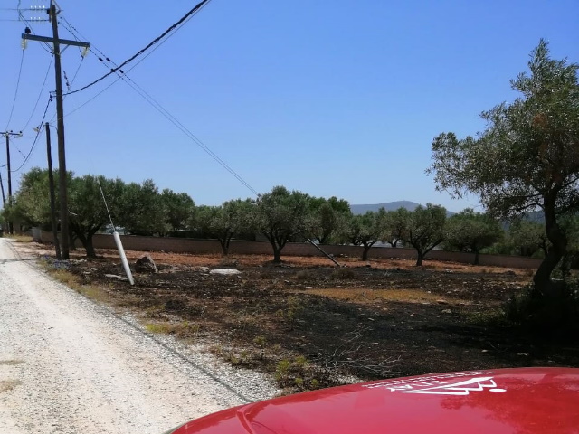 Καρακάξα ήταν ο... δράστης της φωτιάς στον Άγιο Γεώργιο Κορωπίου