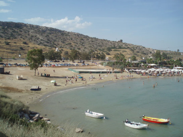 loubarda koropi1