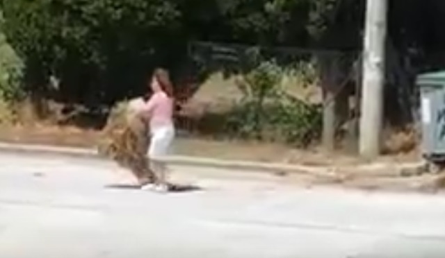 Βίντεο ντοκουμέντο από ασυνείδητη πολίτη στο Πικέρμι! Έτσι ξεκινάνε οι φωτιές! 
