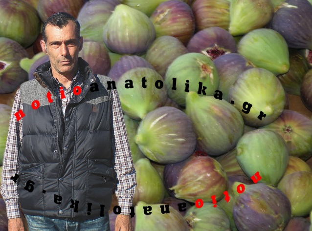Σύκα Μαρκόπουλου: Τι περιμένουν οι παραγωγοί για φέτος!