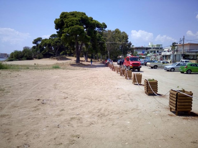 zarntinieres artemida