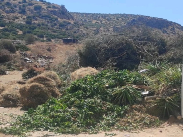 Ευθύνη των ιδιοκτητών και όχι των δήμων η περισυλλογή και διαχείριση των κλαδεμάτων τους (Συνέντευξη)