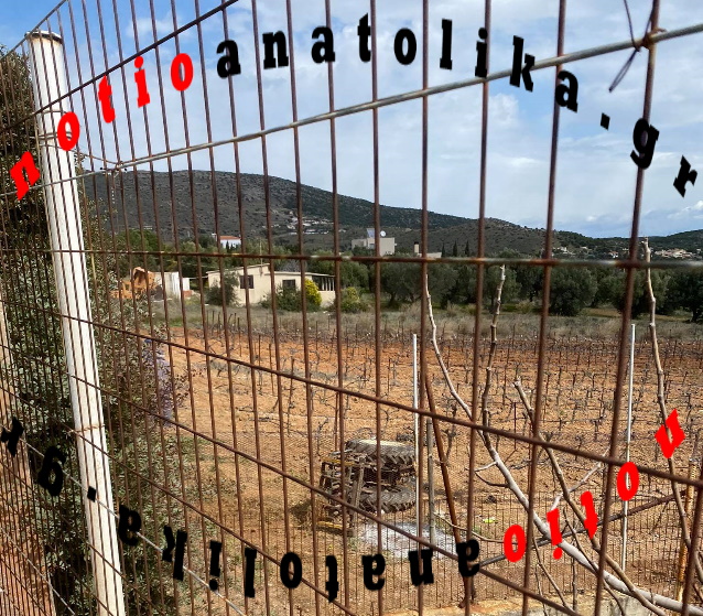 markati2