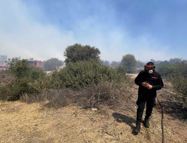 efraimiadis polprost saronikos