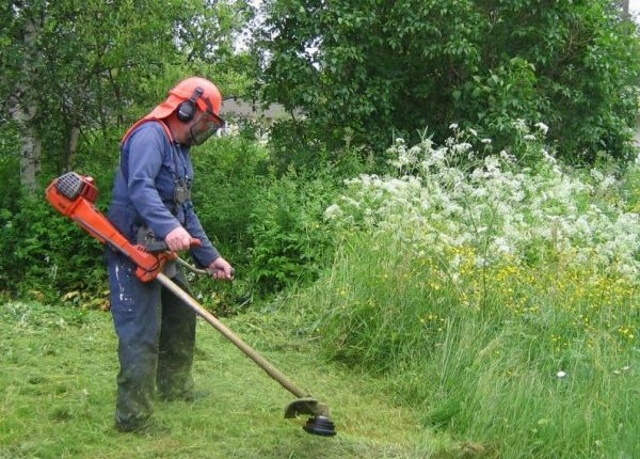 katharismos oikopeda