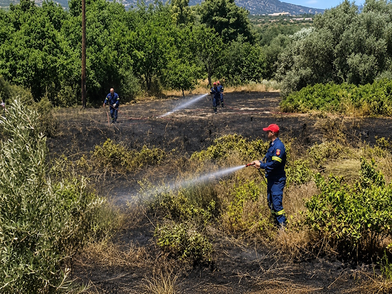 Κορωπί: Συναγερμός για ύποπτη πυρκαγιά κοντά στην Μονή Βηθλεέμ– Άμεση κινητοποίηση της Πολ. Προστασίας 