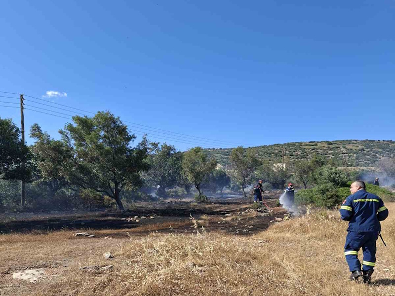 Άμεση κατάσβεση πυρκαγιάς στη λεωφόρο Προφάρτας – Ισχυρή κινητοποίηση δυνάμεων 