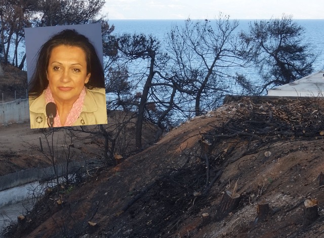 Μάτι: Μια φωτογραφία που αποδεικνύει ότι η ελπίδα είναι ζωντανή!