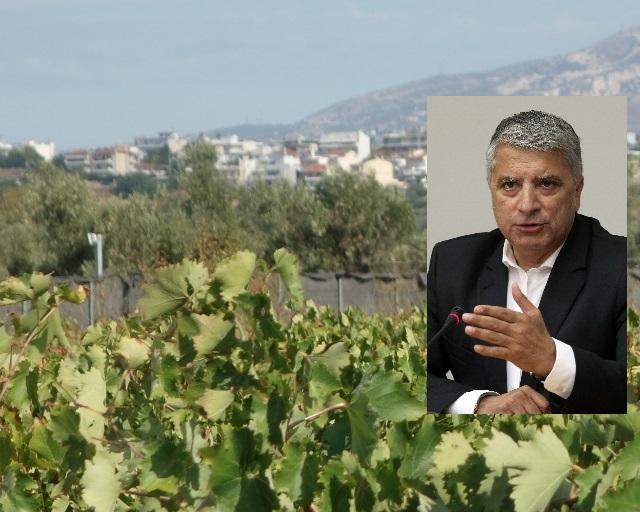 Σχεδόν 3 εκατομμύρια ευρώ από την Περιφέρεια στον αγροτικό κόσμο της Αττικής