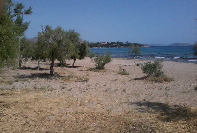 Αποζημιώσεις ζητά ο Δήμος Κρωπίας για την απαγόρευση εκμετάλλευσης της παραλίας του Αγ. Δημητρίου!