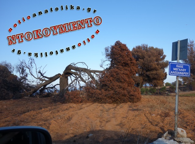 Οδοιπορικό στο Μάτι της σιωπής και του πένθους 44 ημέρες μετά τη Μαύρη Δευτέρα (Φωτός)
