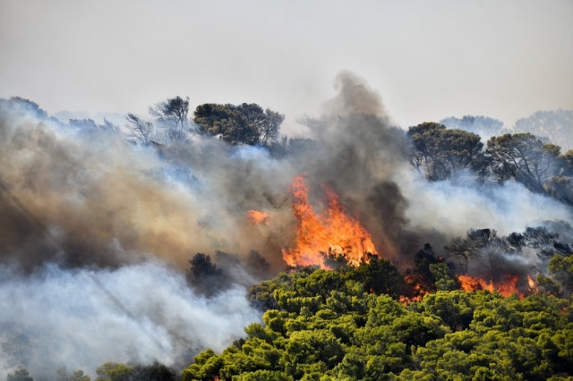 Φωτιά Αναβύσσου: Ξεκινούν αυτοψίες οι επιτροπές των Δήμων Λαυρεωτικής και Σαρωνικού για τα καμμένα 