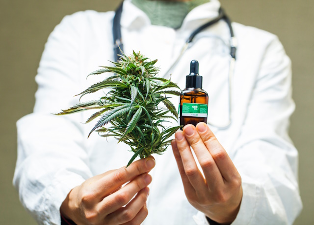 cannabis flower oil
