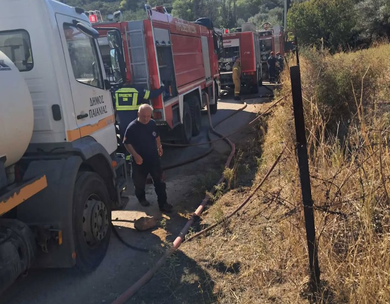 Προφήτης Ηλίας Παιανίας: Η φωτιά που κινητοποίησε ισχυρές δυνάμεις