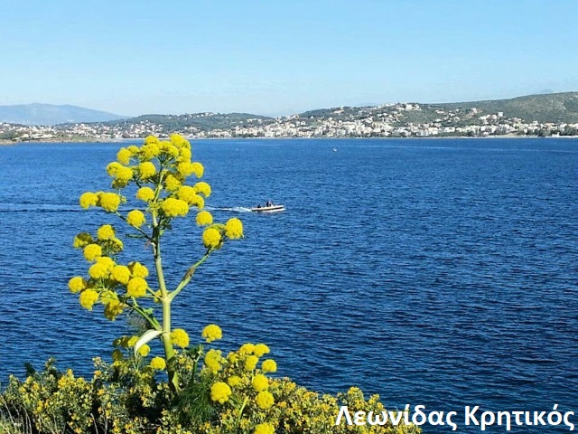 13 anoiksi