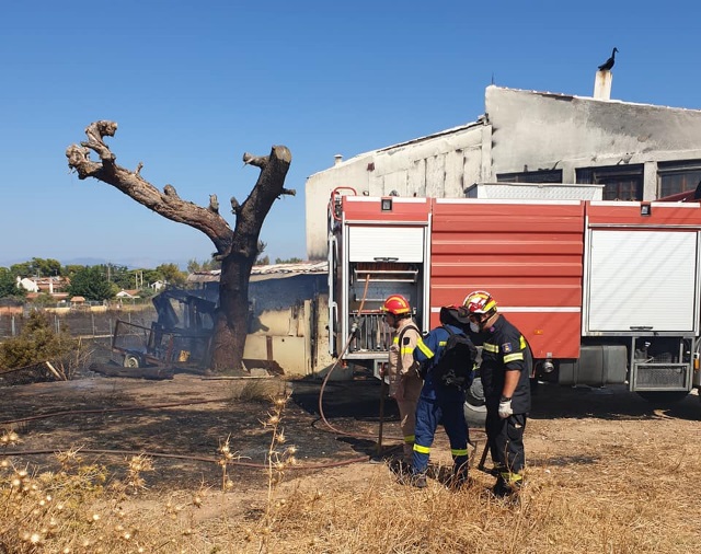 Οριοθετήθηκε η φωτιά στον Άγιο Σεραφείμ Αρτέμιδας – Κινδύνευσε το δάσος του ΟΤΕ! (Βίντεο)