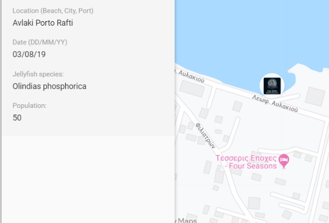 Τον μεγαλύτερο πληθυσμό από τσούχτρες, στις ελληνικές θάλασσες, εντόπισε στο Πόρτο Ράφτη, εφαρμογή της Google!
