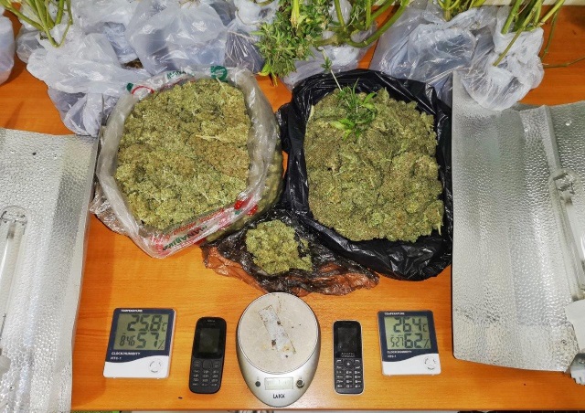 Η πυρκαγιά στο Λαγονήσι έβγαλε... λαβράκι, πρώτης ποιότητας χασίς! 