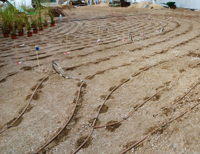 ardefsi violog katharismoi