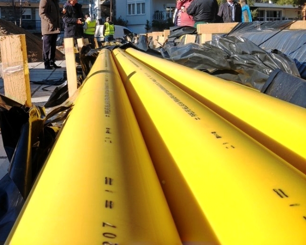 fisikoaerio glikanera