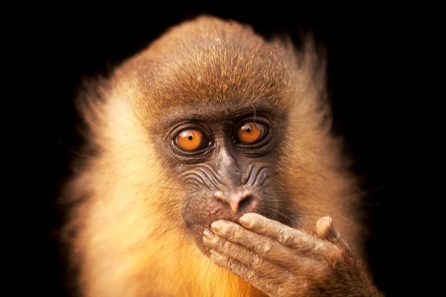 ekviastes antiperifereia