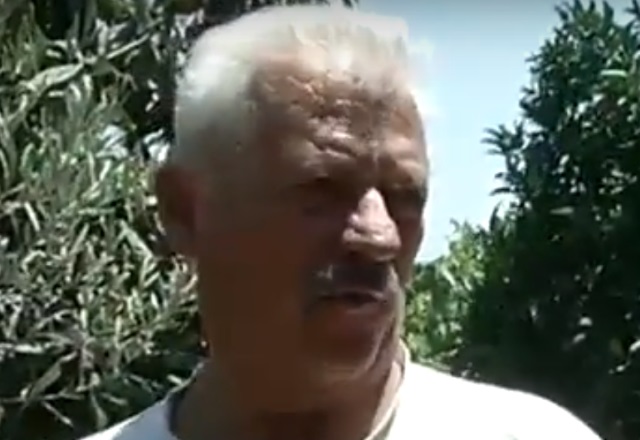 papamichalis kleftis